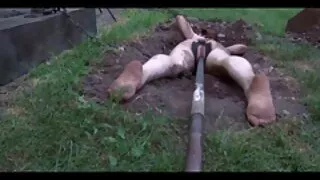 Un porno en famille francais homme noir tire une blonde sur la bite.